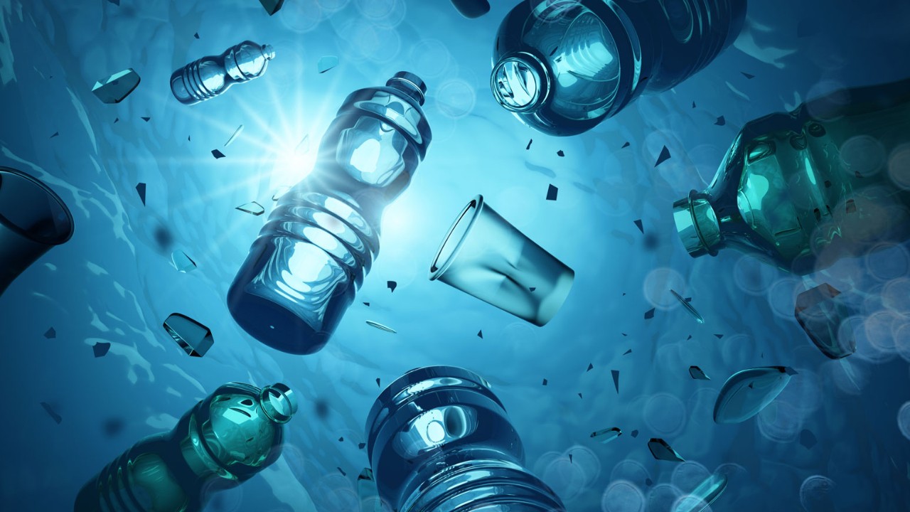 Tek kullanımlık plastiklere karşı umut veren alternatif Tek kullanımlık plastiklere karşı umut veren alternatif