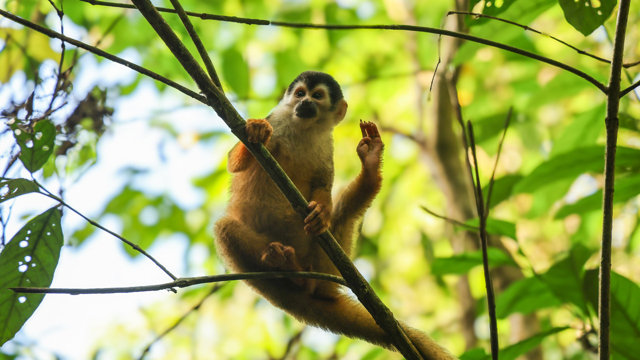 Neden ayak parmaklarımızı ellerimiz üzere kullanamıyoruz?